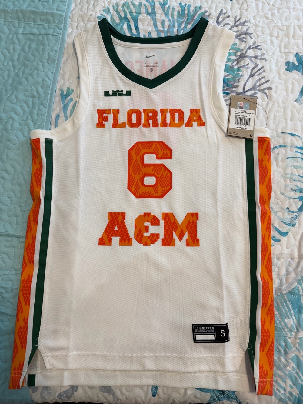 Nike Lebron James Florida A&M Basketball Jersey #6
